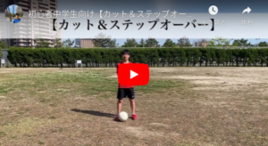 カット＆ステップオーバー